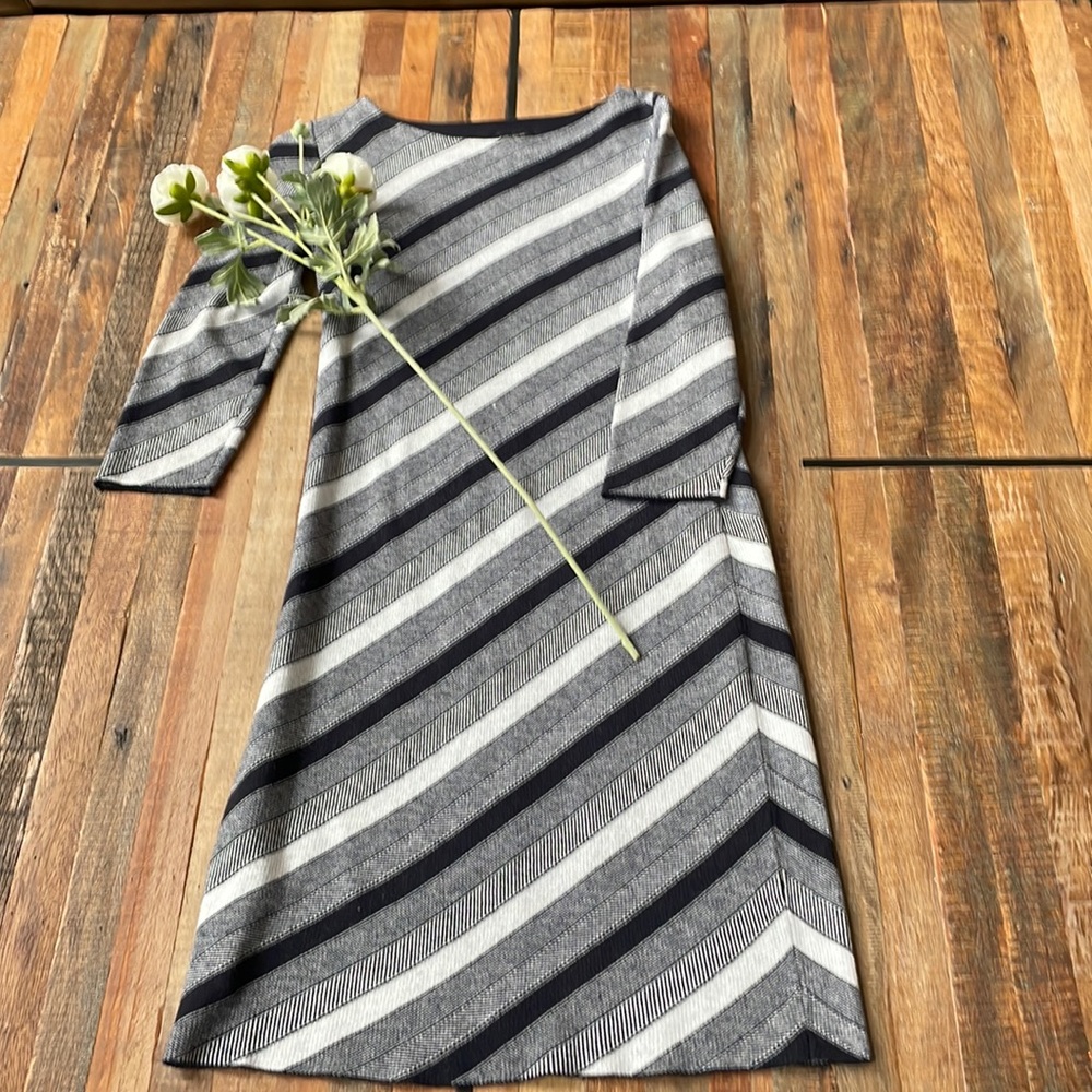 Adorable Ann Taylor sweater dress